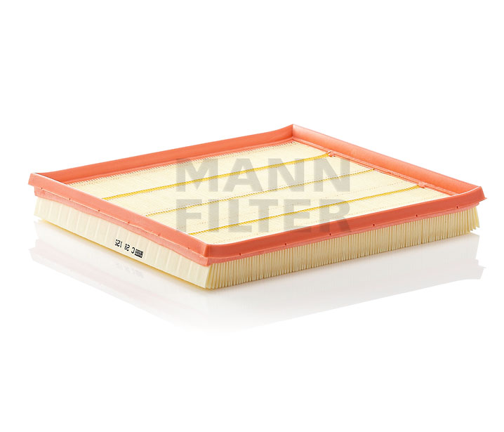 AIR FILTER 