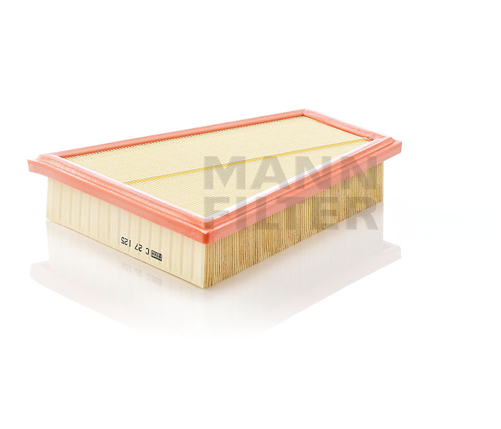 AIR FILTER 