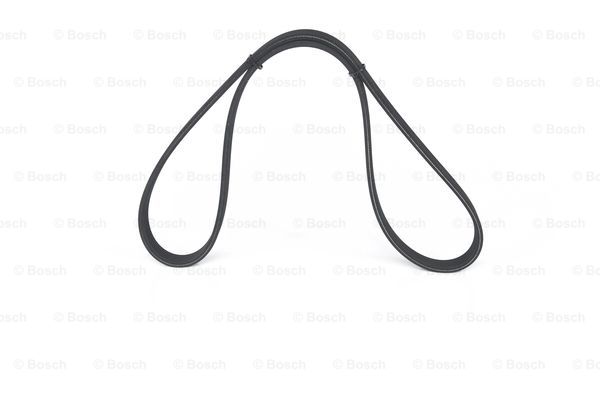 Ribbed V-belt