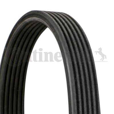 V-Ribbed Belt