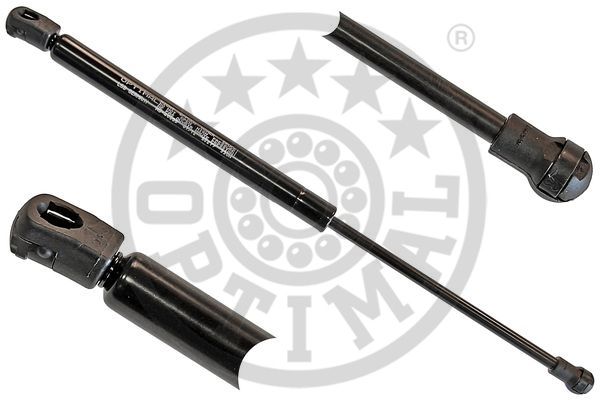 HOOD GAS SPRING