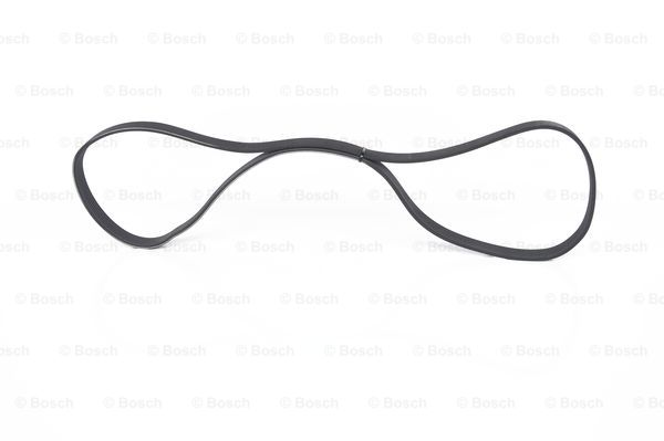 Ribbed V-belt