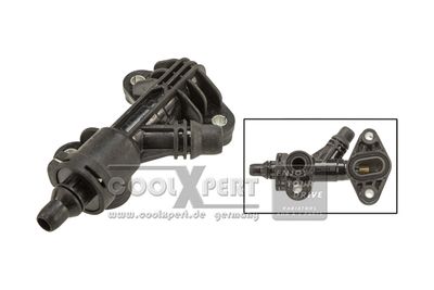 Thermostat, coolant