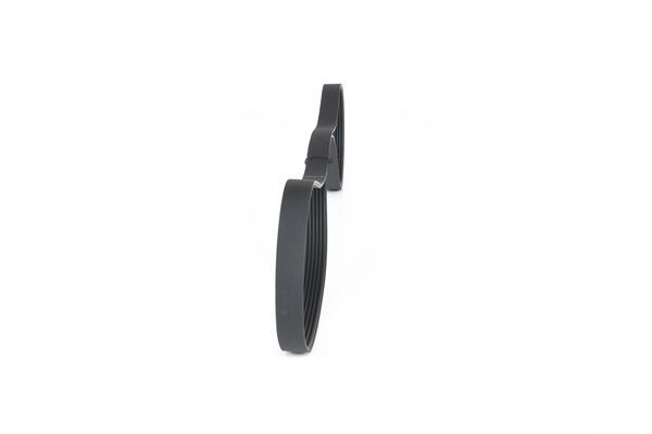 V-Ribbed Belt