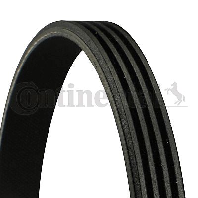 V-Ribbed Belt