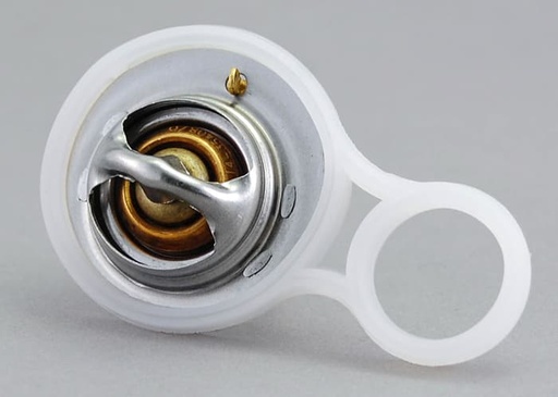 [11537596787] Thermostat with Gasket
