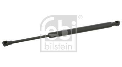 [51248254281F] TRUNK Gas Spring