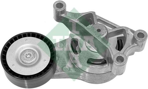 [06F903315-INA] Tensioner Lever, v-ribbed belt