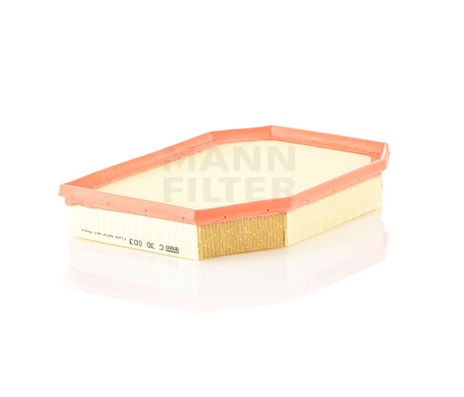 [13717590597B] AIR FILTER